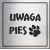 tabliczka Uwaga pies