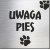 tabliczka Uwaga pies