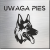 tabliczka Uwaga pies