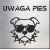 tabliczka Uwaga pies