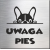 tabliczka Uwaga pies