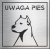 tabliczka Uwaga pies
