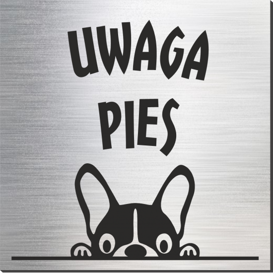 tabliczka Uwaga pies